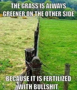 grass-is-greener-bullshit